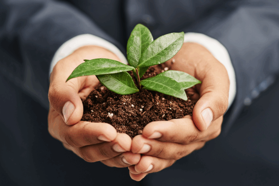 La importancia de realizar envíos rápidos y sostenibles